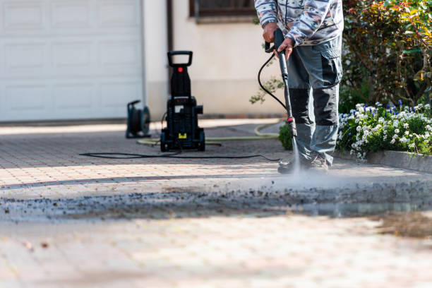 Best Local Pressure Washing Services  in Dickinson, TX